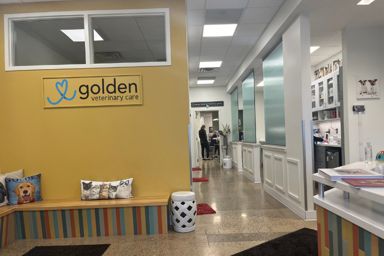 golden-vet-entryway-overview.png