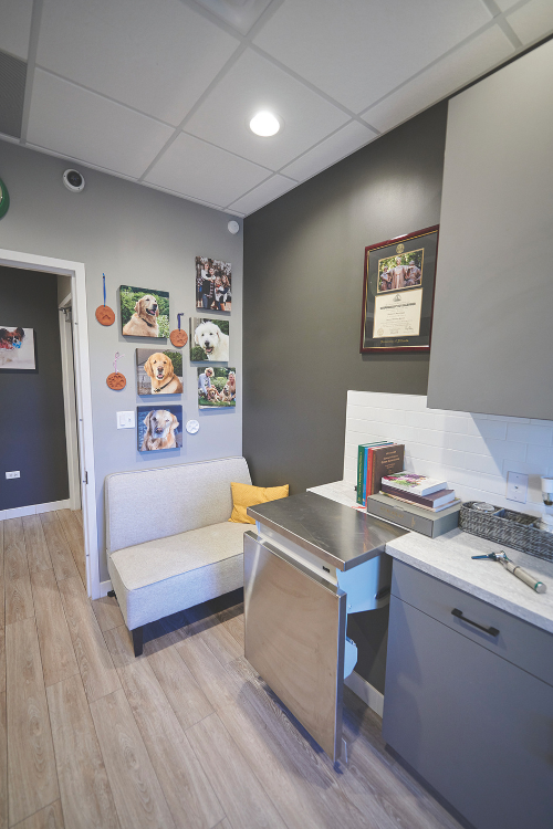 exam-room-with-art.png